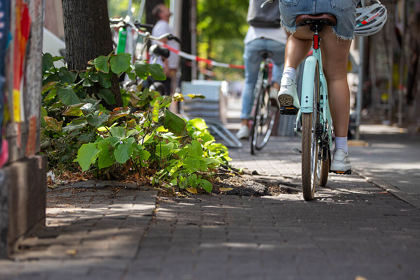 Radstadt Türkises Hinterrad auf Radweg